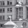 Orleans_02_Bird