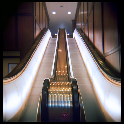 Main Photo: Brown Palace: Escalator