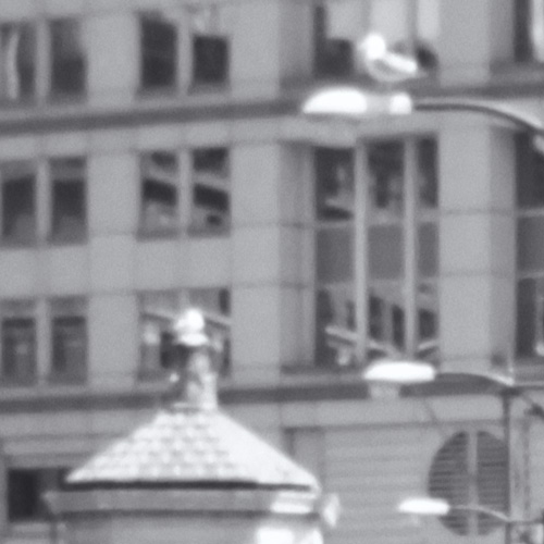 Photo Detail