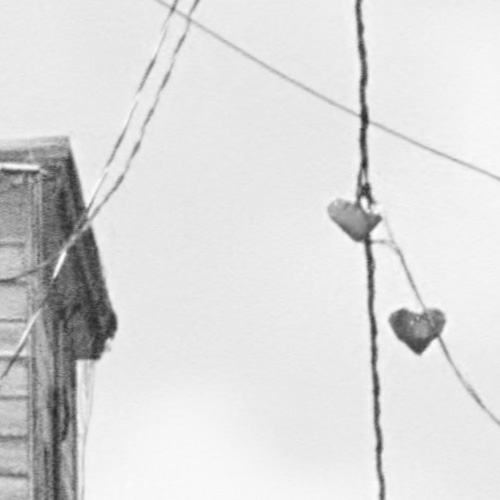 Photo Detail