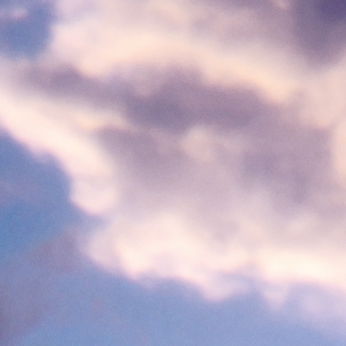 Print Detail